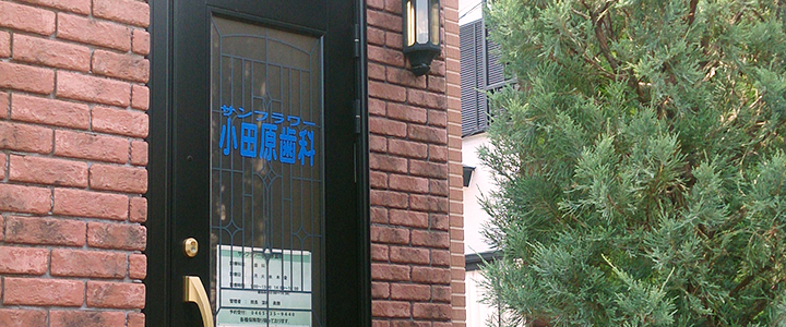 サンフラワー小田原歯科
